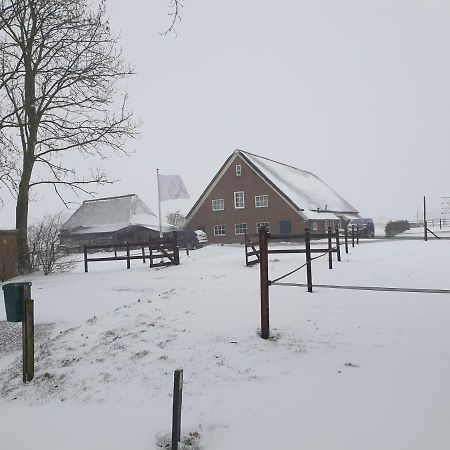 Landelijk Gelegen Boerderij Aan De Pothofweg Apartment Anevelde Exterior foto