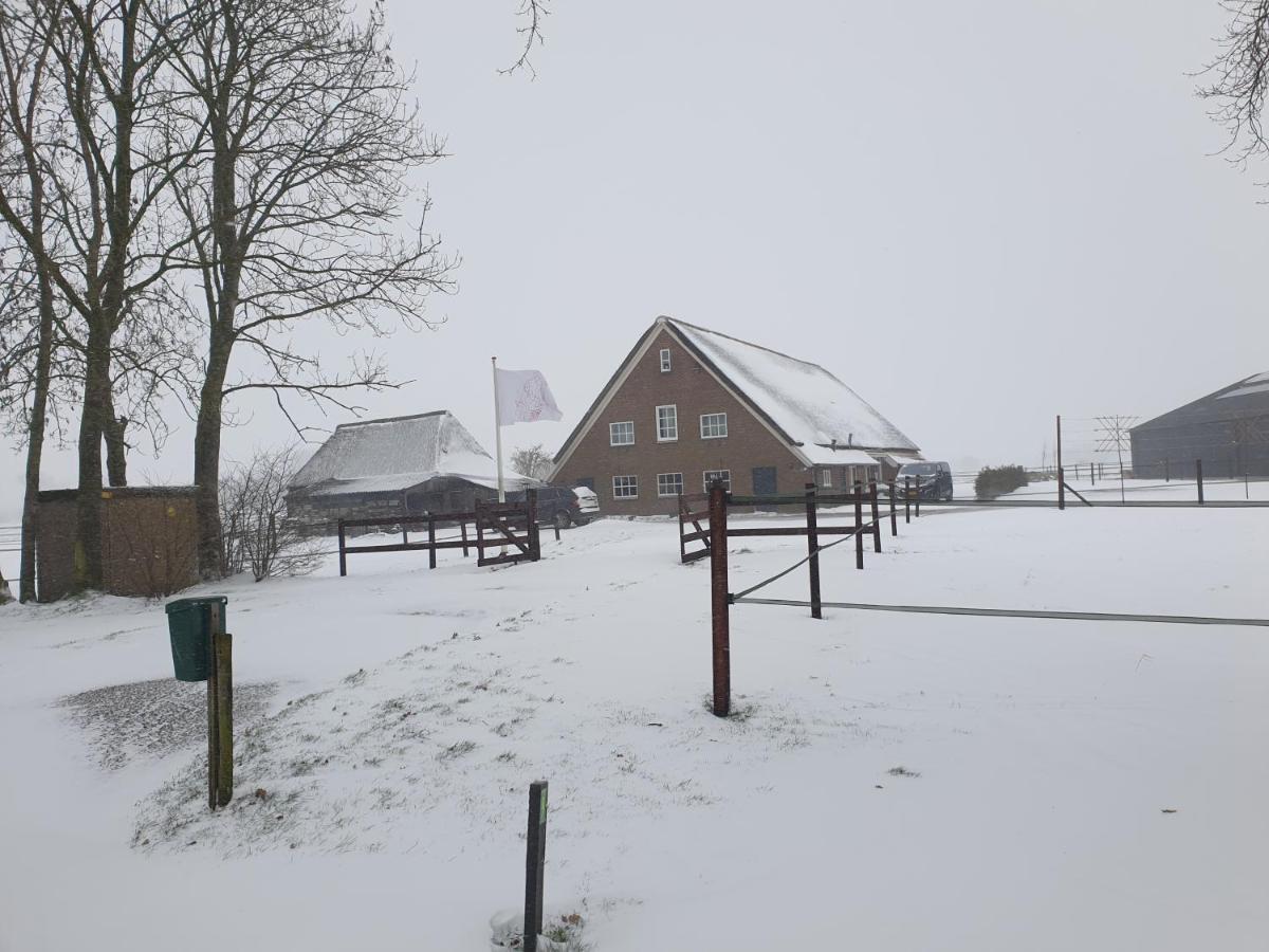 Landelijk Gelegen Boerderij Aan De Pothofweg Apartment Anevelde Exterior foto